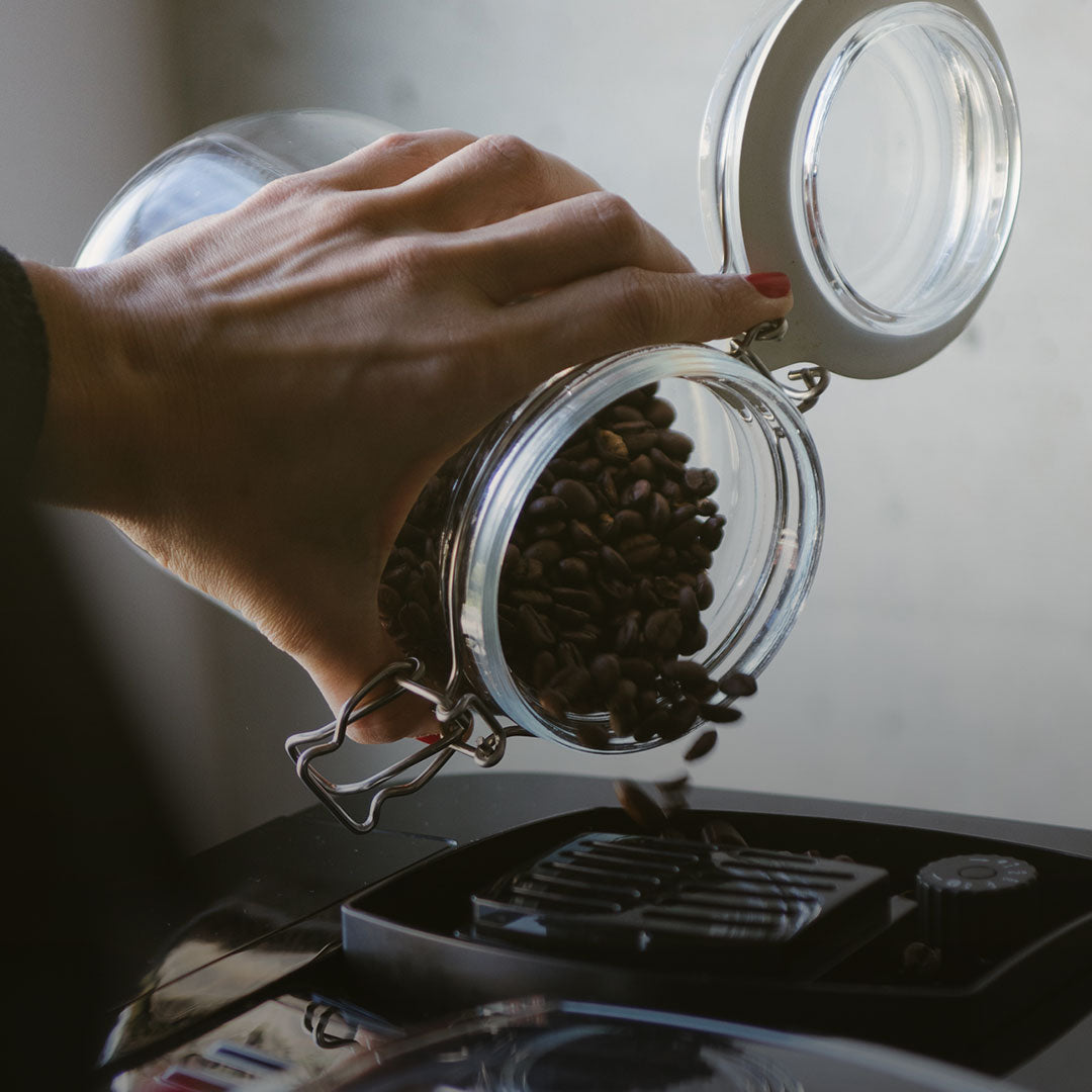 Premium Coffee Beans, Cafesti Collection Displayed in Shadow Lit Aesthetic shot